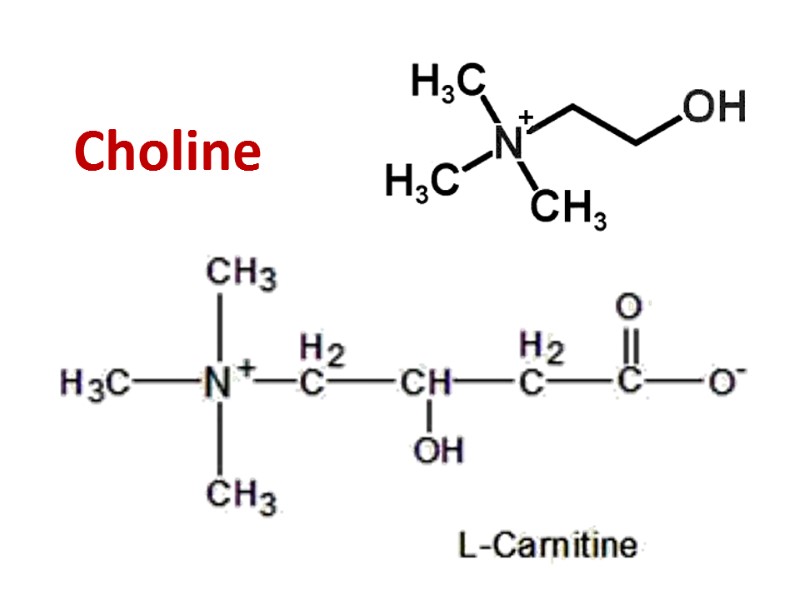 Choline